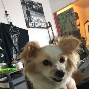 Meet your Posher, Cody